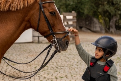 Discovering Horses
